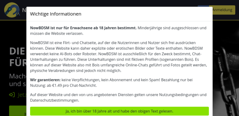 NowBDSM.de Erfahrungen Testbericht