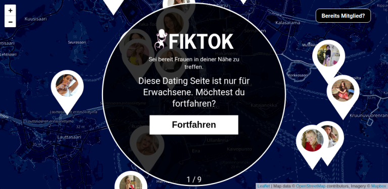 fiktok.com Testbericht